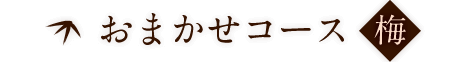 おまかせコース<梅>
